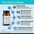 DR WAKDE's Varuna Capsules (Crataeva nurvula) 500mg | Urinary Tract, Bladder & Kidney Support | 60 Veg Caps | Pure Ayurvedic Bark Powder | Vegan | Filler-Free | Made in UK