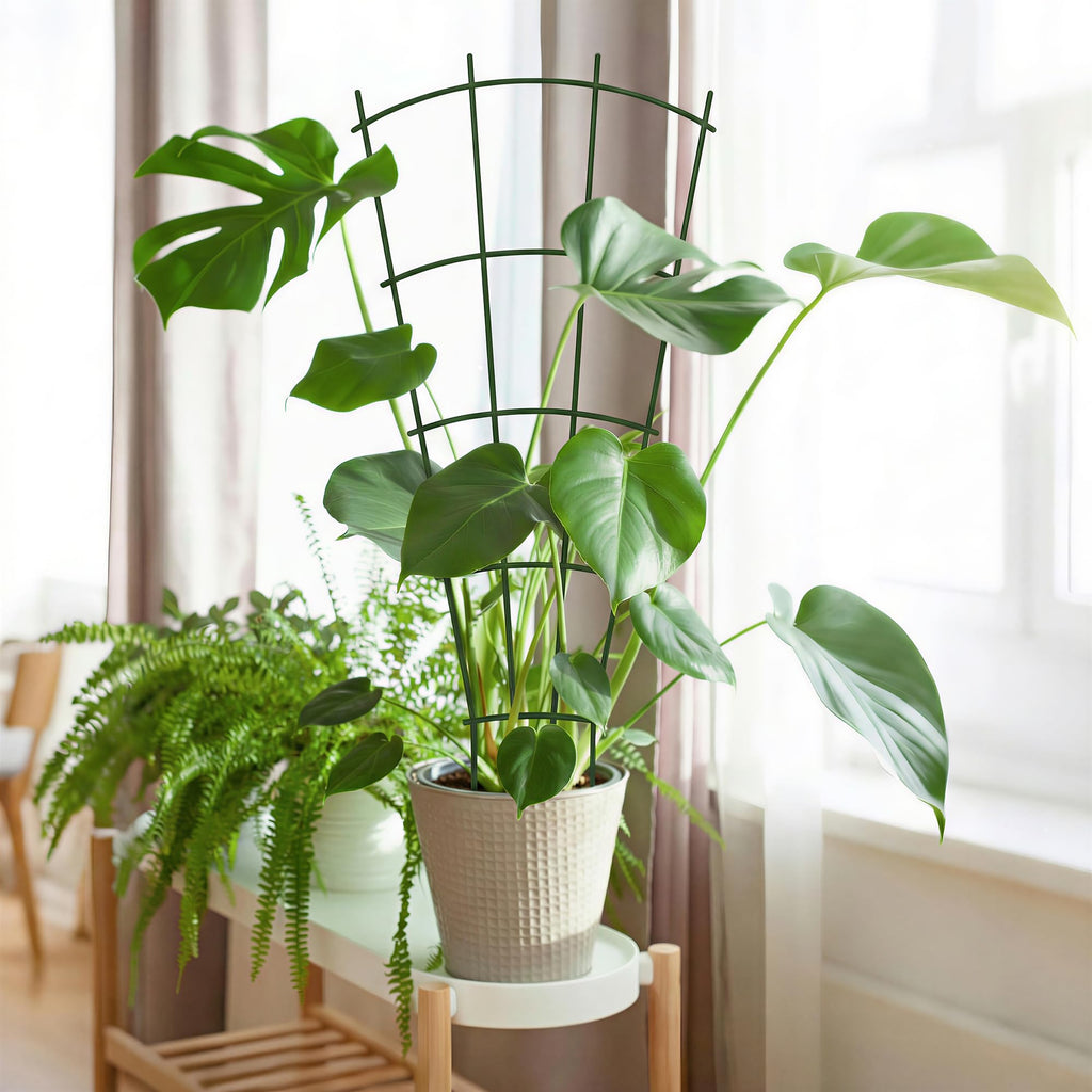 Thealyn 24" Metal Plant Trellis, Climbing Plant Support, 4 Pack (Green)