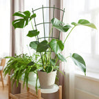 Thealyn 24" Metal Plant Trellis, Climbing Plant Support, 4 Pack (Green)