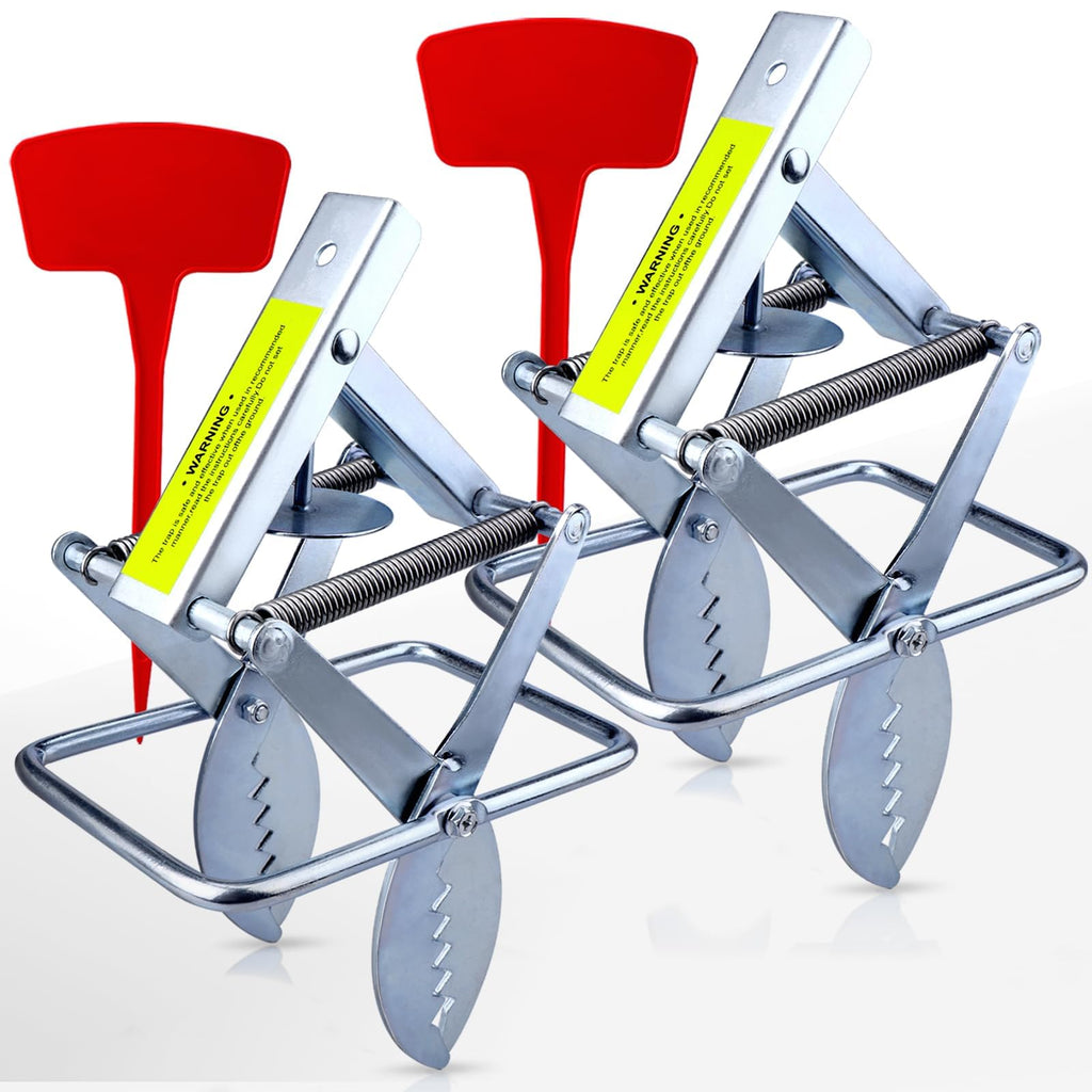 Mole Trap Scissor 2 Pack, Upgraded Mole Traps for Lawns that Kill Best, Galvanized Steel Mole Killer, Step Setup