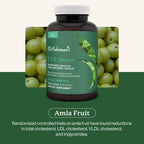 Dr. Fuhrman's LDL Biotect cholesterol lowering supplements | Wholefood & Organic Plant Sterol to help with High cholesterol | Organic pomegranate, amla & chokeberry extracts | 240 caps 60-day Supply