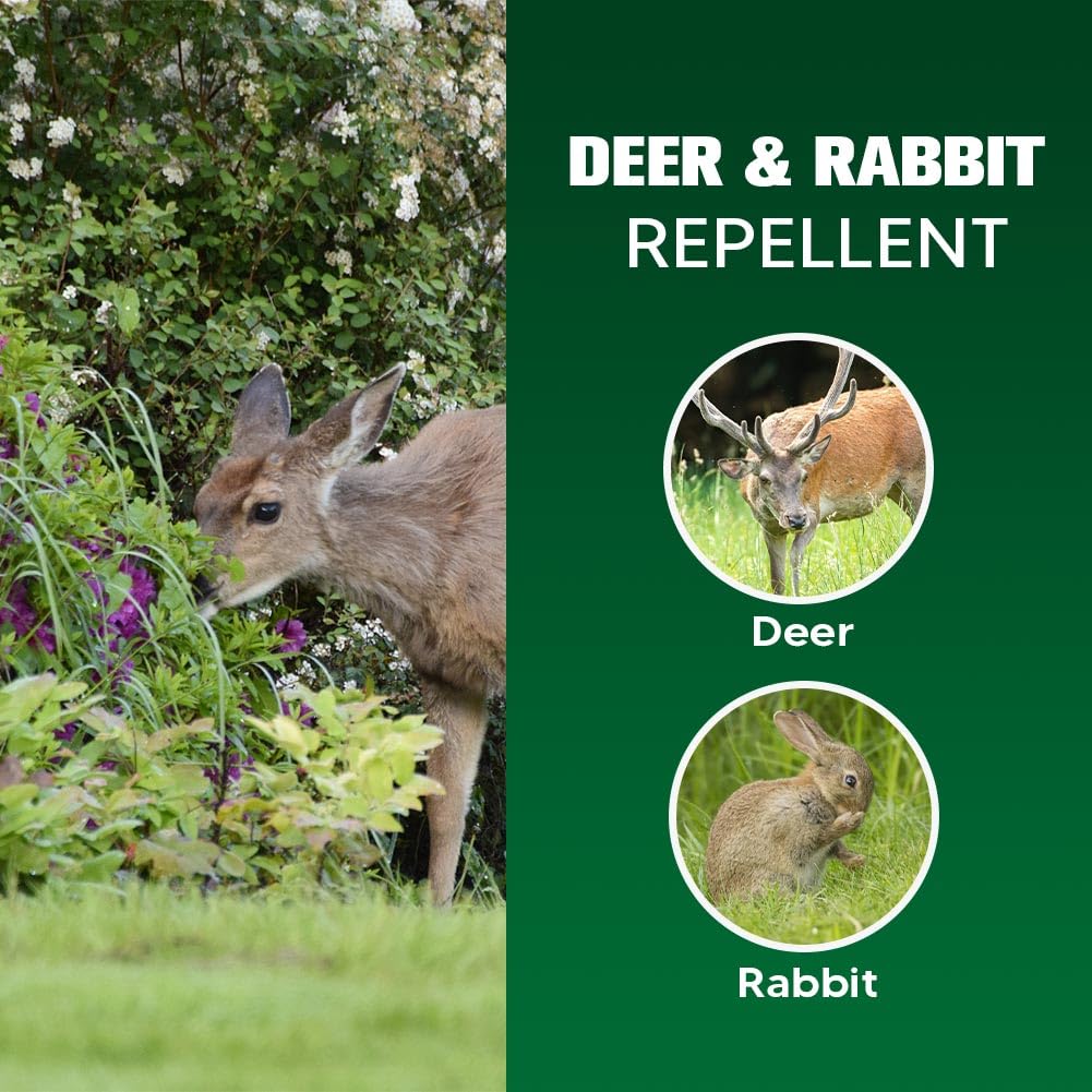 pzwmmsse Deer Repellent Outdoor, Rabbits Repellent for Garden, Bunny Repellent, Deer Deterrent for Plants, Keeps Deer & Rabbit Away from Yard, Lasting for 2 Months, Safe for Humans & Pets-8 Pack