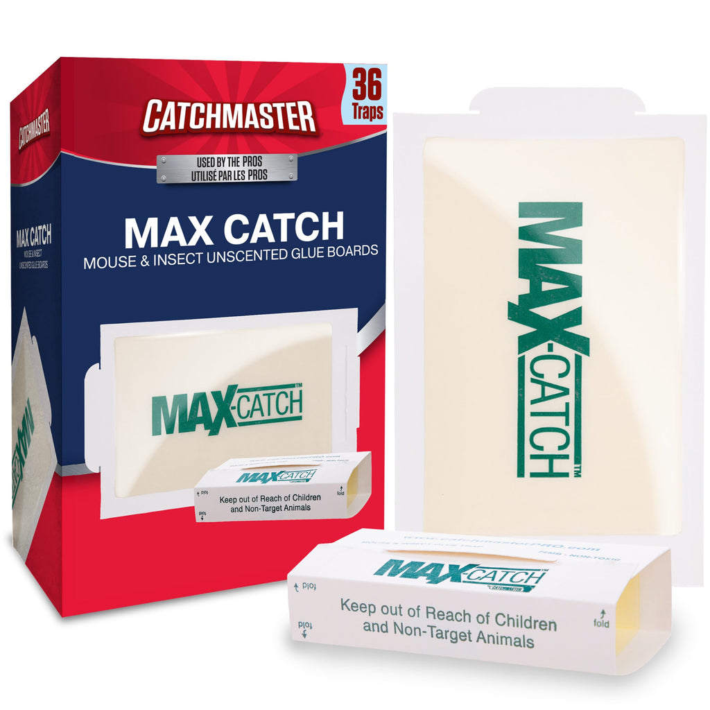 Catchmaster Max-Catch Mouse & Insect Glue Trap 36PK, Mouse Traps Indoor for Home, Sticky Pest Control Adhesive Tray for Catching Bugs, Bulk Unscented Glue Boards