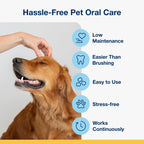 ProDen PlaqueOff Soft Chews with Natural Kelp - for Small & Medium Breed Dogs & Cats - Supports Normal, Healthy Teeth, Gums, and Breath Odor in Dogs & Cats - 90 Soft Chews