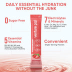 Venture Pal Sugar Free Electrolytes Powder Packets - Liquid Daily IV Hydration Packets | Instantly Hydrating & Party Recovery | 5 Vitamins & 7 Electrolytes | Certified Vegan, Keto, Non-GMO | 16 Sticks