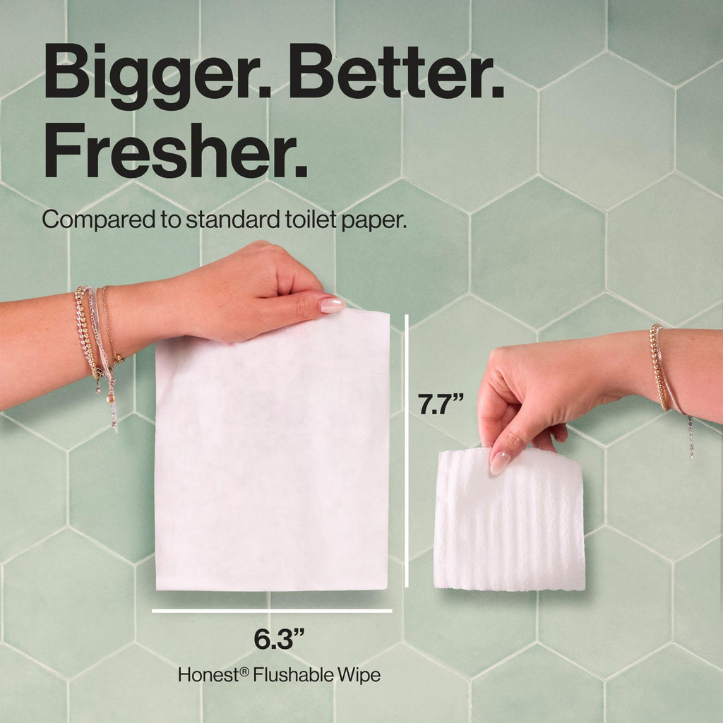 The Honest Company Flushable Wipes for Sensitive Skin, Hypoallergenic, Fragrance-Free, Gilded Wings Design, 126 Count
