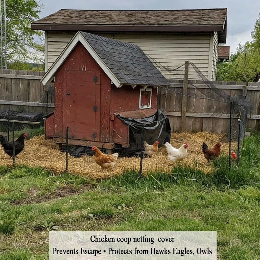 Junkogo Bird Netting for Chicken Coop 25x50 FT, 1" Chicken Run Cover Net