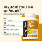 STAY ALIVE Mullein Leaf Extract 1000mg, 10:1 Extra Strength, 120 Vegan Mullein Capsules, All Natural, 100% Pure Leaves Powder, 2 Month Supply, Non-GMO and Gluten-Free Supplement