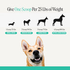 Pet Honesty Vet Approved Dog Teeth Cleaning Powder, 30 Servings