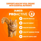 IAMS Proactive Health Healthy Adult Dry Cat Food, Chicken, 7 lb