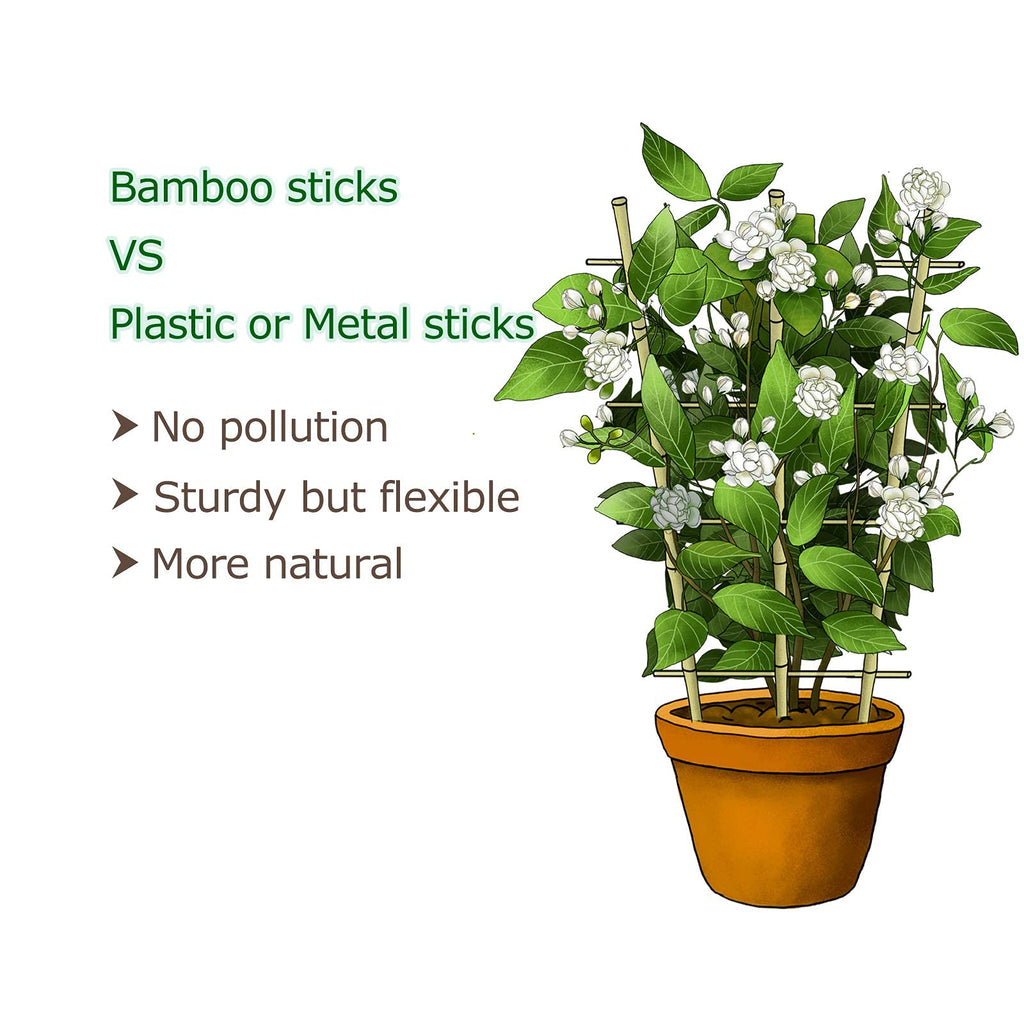 Cambaverd Indoor Plant Trellis, 24in Ladder-Shaped Bamboo Trellis 3 Pack