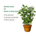 Cambaverd Indoor Plant Trellis, 24in Ladder-Shaped Bamboo Trellis 3 Pack