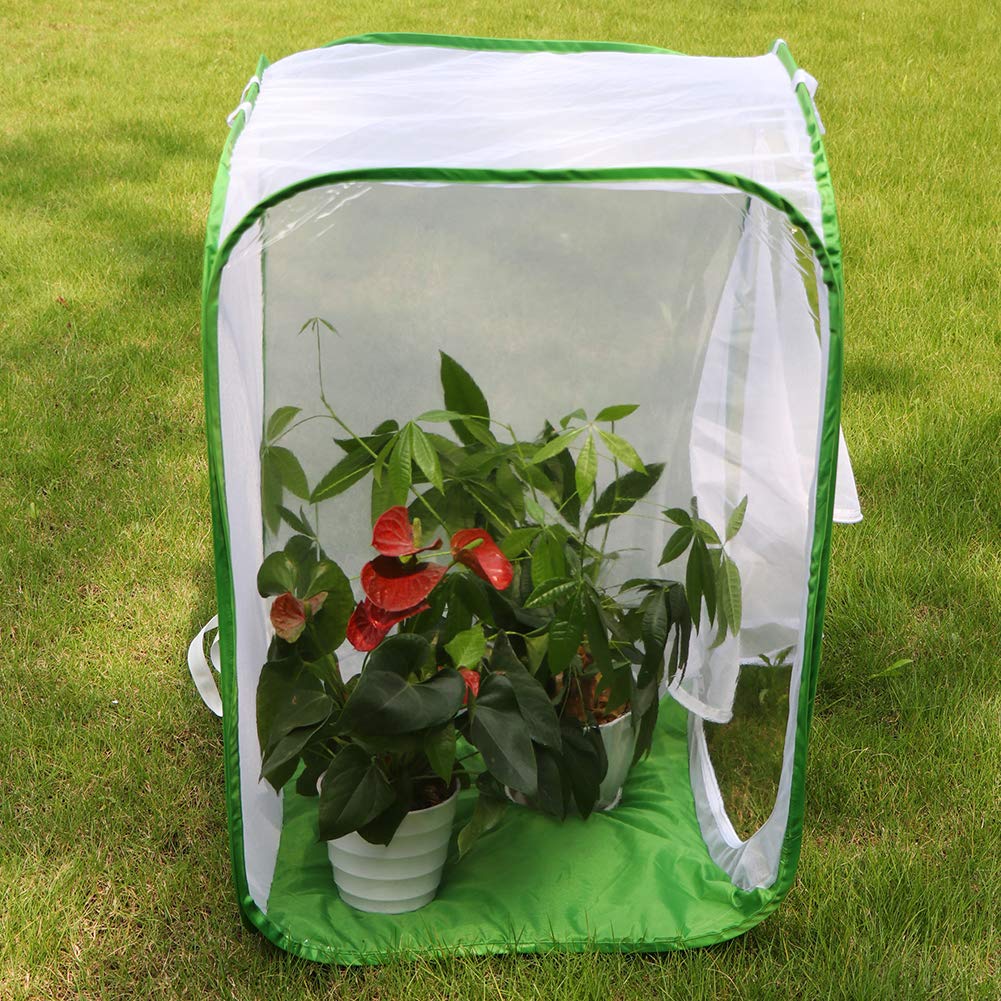 RESTCLOUD 36" Large Monarch Butterfly Habitat, Giant Collapsible Insect Mesh Cage Terrarium Pop-up 24 x 24 x 36 Inches