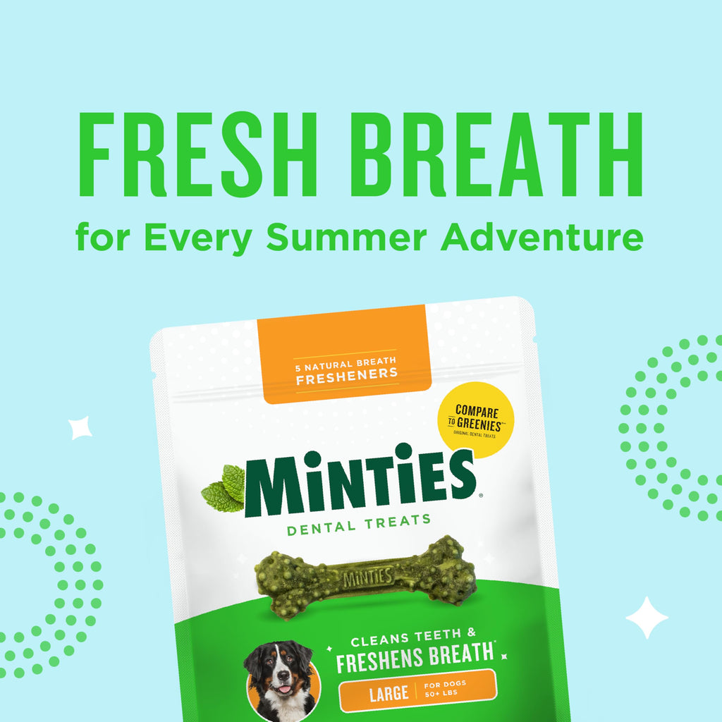 Minties Mint Dental Chews for Dogs, Large Breeds 50+ lbs, 36 Ct