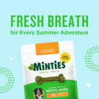 Minties Mint Dental Chews for Dogs, Large Breeds 50+ lbs, 36 Ct