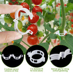 HFXXAD 70Pcs Tomato Hooks with String, Tomato Support Hooks, Tomato Holder Hooks & Plant Support Clips with 33.3ft Twine to Prevent Tomatoes from Pinching or Falling Off