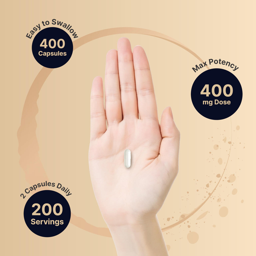 NatureBell L-Theanine Supplement - 400 Capsules - 400mg Max Potency Amino Acid Support - for Relaxation, Calm, and Focus - Non-Drowsy Free-Form Formula*