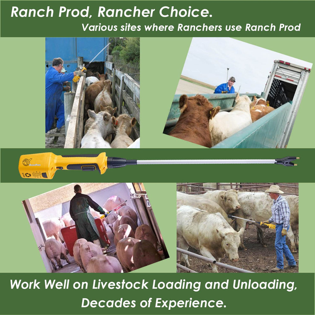 RANCH CHOICE Rechargeable Livestock Prod for Cows Sheep Electric Cattle Prod for Cow Dog Hog Animal Prod with Flexible Shaft (Total 43 INCH)