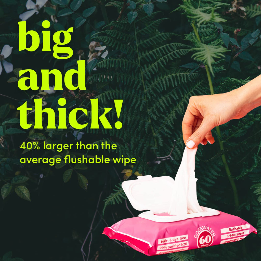 goodwipes Flushable Butt Wipes Made with Vitamin E & Aloe - Soft & Gentle Wet Wipe Dispenser for Home Use, Septic & Sewer Safe - Largest Adult Toilet Towelettes - Rosewater, 360 Count (6 Packs)