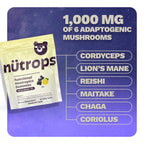 Nutrops Sugar-Free Lions Mane Mushroom Gummies for Adults, Functional Nootropics, Herbal Brain Supplement for Energy, Brain Health, Cognitive, Memory & Focus, Reishi, Chaga, Cordyceps - 28 Day Supply