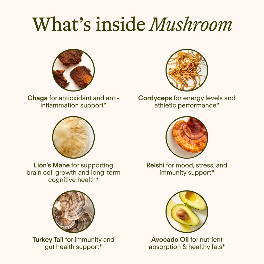 Sunny Within Functional Mushroom - 800mg of Five Mushrooms - Organic Lion’s Mane, Reishi, Cordyceps, Turkey Tail, Chaga - Brain, Stress & Energy Support * - with Choline - 30 Pouches