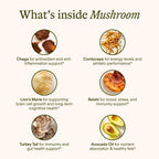 Sunny Within Functional Mushroom - 800mg of Five Mushrooms - Organic Lion’s Mane, Reishi, Cordyceps, Turkey Tail, Chaga - Brain, Stress & Energy Support * - with Choline - 30 Pouches