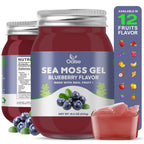 OALSE Sea Moss Gel - 18.5oz Blueberry Flavor Raw Nutritious Sea Moss Gel in Minerals, Proteins & Vitamins, Vegan-Friendly, 2 Tablespoon Daily