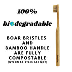 Gaia Guy Plastic-Free Eco Dental Kit