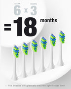 7AM2M Sonic Electric Toothbrush with 6 Brush Heads for Adults&Kids, One Charge for 120 Days, Wireless Fast Charge, 5 Modes, 40000VPM Powered Toothbrush, 2 Minutes Built in Smart Timer(Peacock Green)