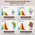 AJABotanics Grow Light for Indoor Plants 60W Full Spectrum LED, 85'' Adjustable Standing Plant Light, Tall Grow Light with Timer & 10-Level Dimmable, Ideal for Large Plants & Indoor Trees