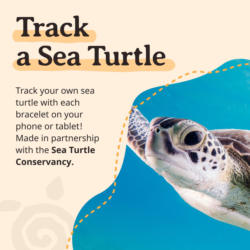 Fahlo Sea Turtle Tracking Bracelet, Sky Stone