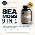 Sea Moss Capsules – Irish Sea Moss with Black Seed Oil, Ashwagandha, Moringa, Ginseng & Ginger for Energy, Vitality & Wellness – Seamoss Nutritional Supplement – Made in USA – 60 Capsules