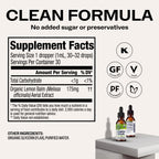 Vimergy USDA Organic Lemon Balm Tincture Herbal Supplement – Can be Used in Tea - Non-GMO, Alcohol-Free – 30 mL (1 mL/Serving)