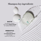 Dr. Groot Thickening Shampoo & Conditioner Set for Hair Loss – Clinical Results with Biotin and Rosemary for Hair Thinning, Shedding, Scalp Repair and Treatment