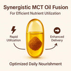 LIRAE Ceylon Cinnamon - Soft Gels 7200mg Equivalent with Mct Oil, Non-GMO, Gluten Free, Highly Bioavailable & Easy to Swallow - 300 Softgels (1)