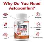Liposomal Astaxanthin Supplement 24MG, Maximum Absorption, Antioxidant Stronger Than VIT C, Non-GMO & Gluten Free - 120 Softgels(4 Months Supply)