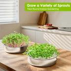 FANHAO 2 Pack Stainless Steel Seed Sprouter Trays, Food-Grade Microgreens Growing Tray, Soil-Free Cultivation Germination Tray for Indoor or Outdoor Sprouting Seeds, Grow Grass, Beans (Without Lids)