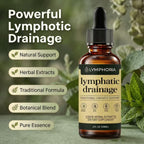 Lymphoria Lymphatic Drainage Drops, Lymphatic System Support, Immune System, Natural Herbal Blends, Vegan & Non-GMO