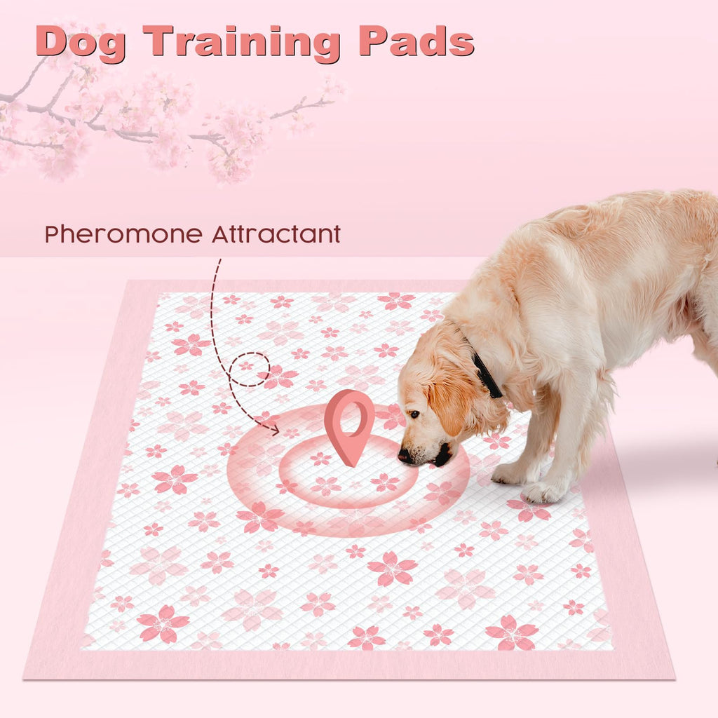 MIZOK Puppy Pads, 36"x36" Dolphin Print Dog Pee Pads Extra Large with Adhesive Tabs, Leak-Proof, 6-Layer Leak-Proof Super Absorbent, Quick-Dry Disposable (30 Count)