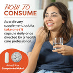 Best Naturals L-Carnosine 500 mg 100 Vcaps (100 Count (Pack of 2))
