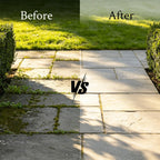 Crack Weeder Tool for Driveway & Patio, Crevice Weeding Tool with Long Handle, Stainless Steel Weed Remover for Sidewalk, Garden, Lawn