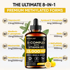 Venture Pal Vitamin B Complex Liquid Drops, B12 Methylcobalamin | B9 Folic | B1,B2,B3,B5,B6,B15 - Vitamin C, Choline, Inositol, Immune & Energy Metabolism, Brain & Heart Support
