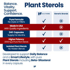 Healthfare Plant Sterols Capsules 2000mg | 240 Vegan Capsules | Beta Sitosterol & Phytosterol Complex | Plant-Based Supplement | Non-GMO & Gluten-Free | Made in The USA