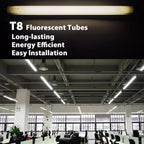 Konideke 18 Inch F15T8/CW T8 15W Fluorescent Light Bulb Cool White, F15T8/SP41 Replacement Bulb for Garage, Office, Kitchen Under-Cabine, G13 Base 6 Count