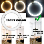 CHKADAWA Circular Bulb FC8T9/DL, 8 Inch T9 22W Circline Fluorescent Light Bulbs, Replacement Round Fluorescent Lamp Tube, Bright Daylight 6400K 1250 Lumens, G10q 4 Pin Base, 2 Pack