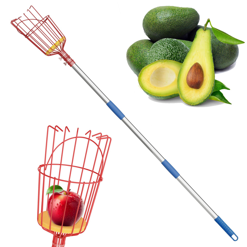 Fruit Picker, 8 ft Long Fruit Picker Pole with Basket Telescoping, Apple Fruit Tree Picker with Pole Extendable, Fruit Grabber & Cather with Stainless Steel Pole for Mango, Orange, Fig, Lemon