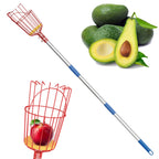 Fruit Picker, 8 ft Long Fruit Picker Pole with Basket Telescoping, Apple Fruit Tree Picker with Pole Extendable, Fruit Grabber & Cather with Stainless Steel Pole for Mango, Orange, Fig, Lemon