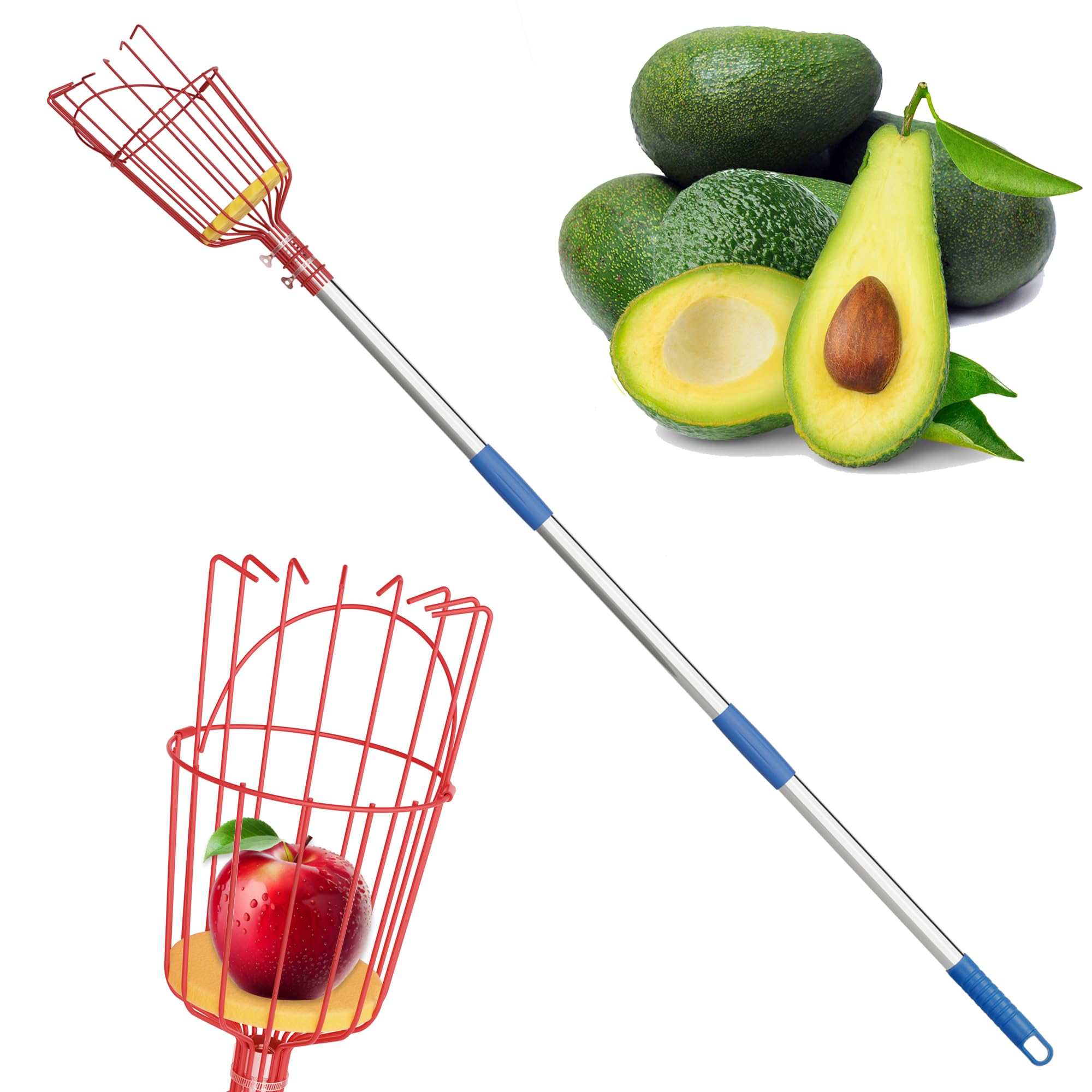 Fruit Picker, 8 ft Long Fruit Picker Pole with Basket Telescoping, Apple Fruit Tree Picker with Pole Extendable, Fruit Grabber & Cather with Stainless Steel Pole for Mango, Orange, Fig, Lemon