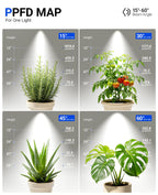Barrina TR40A Track Plant Lights, 40W Ceiling Grow Lights, 5000K, Black