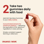 ORGANICS NATURE Irish Sea Moss Gummies for Lung Detox, Thyroid, Strength Immune & Energy Support, Vegan Seamoss Gummies for Kids & Adults - 60 Vegan Gummy Bears Berry Flavored